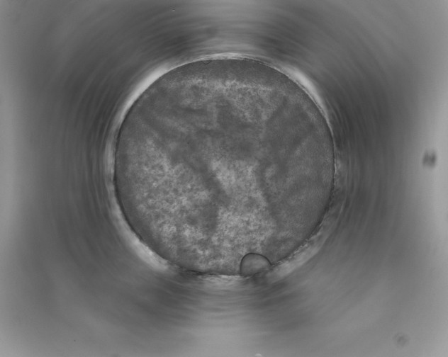 X0000090730859200708171946