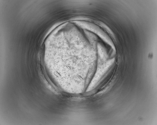 X0000090730860200708171946