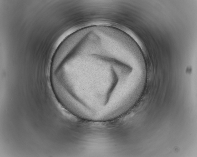 X0000090730861200708171946