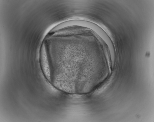 X0000090730862200708171946