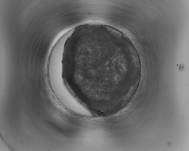 X0000090730864200708171946