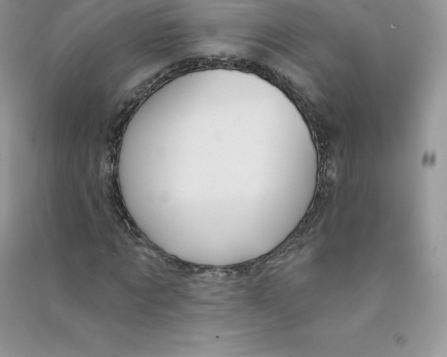 X0000090730869200708171945