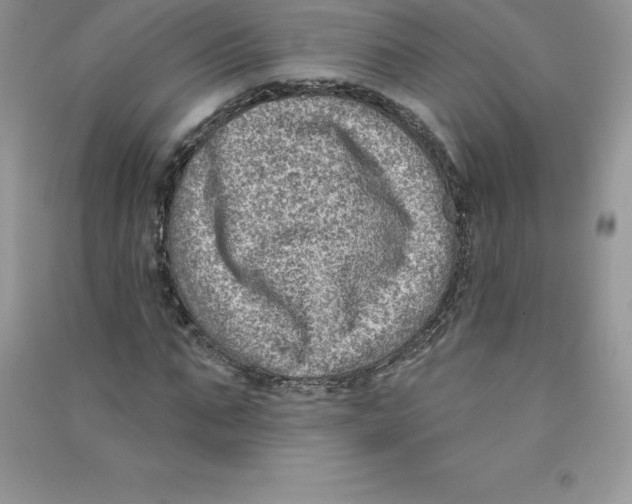 X0000090730871200708171945