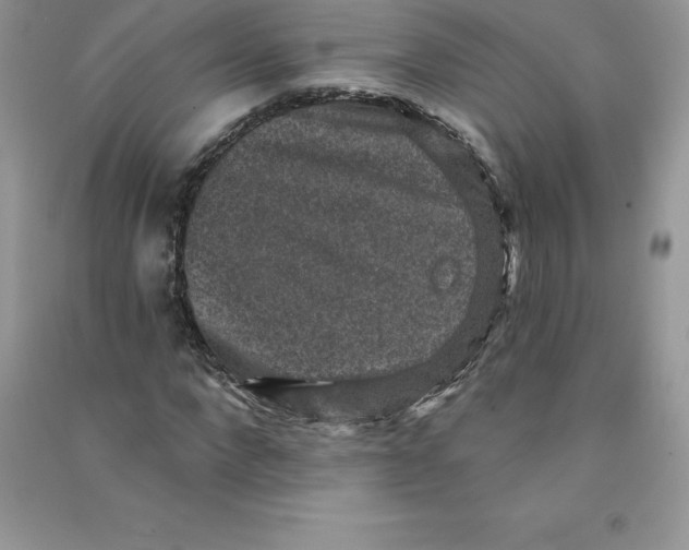 X0000090730872200708171945