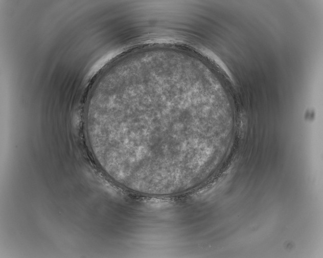 X0000090730874200708171945