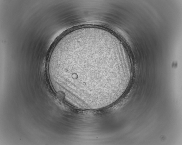 X0000090730875200708171945