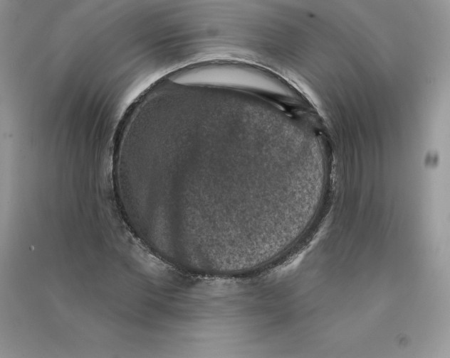 X0000090730877200708171945