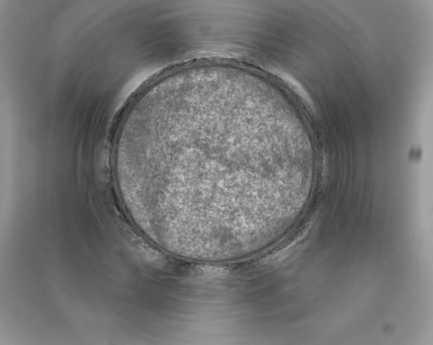 X0000090730878200708171945