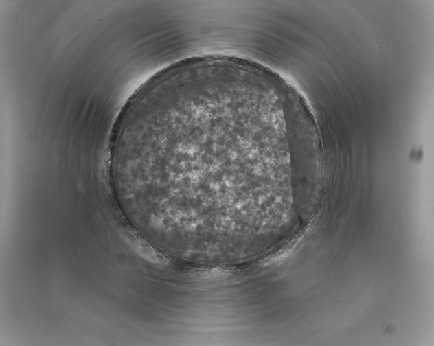 X0000090730879200708171945