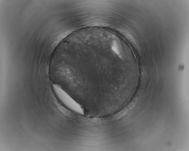 X0000090730881200708171945