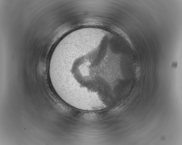 X0000090730882200708171945