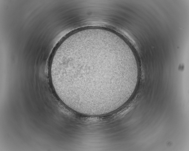 X0000090730883200708171945