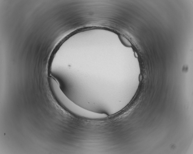 X0000090730884200708171945