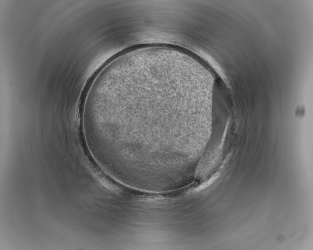 X0000090730885200708171945