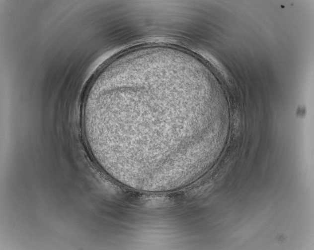 X0000090730886200708171945