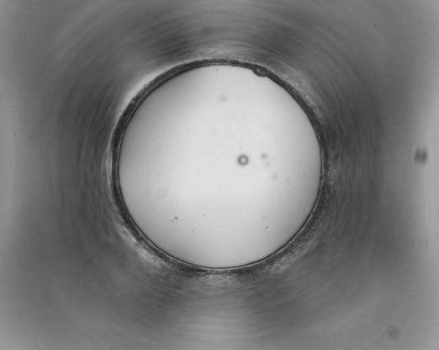 X0000090730888200708171945