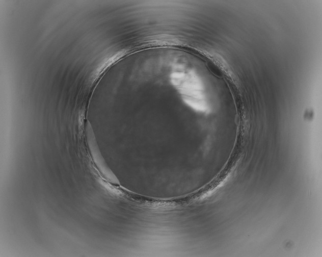 X0000090730889200708171945