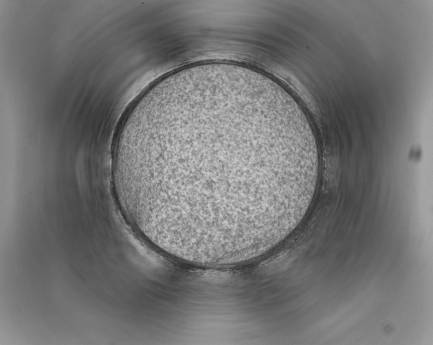 X0000090730890200708171945