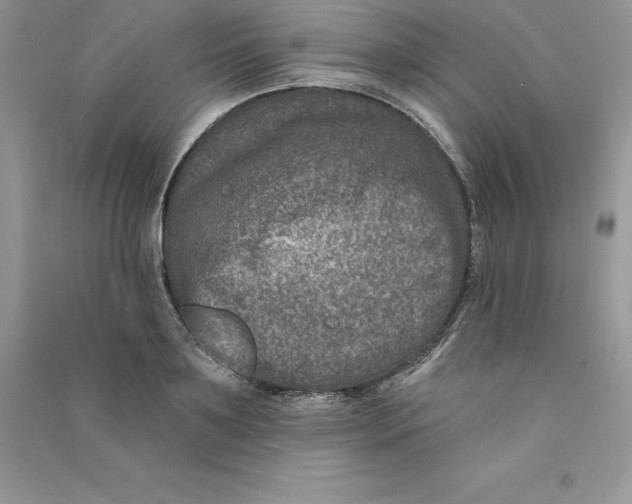 X0000090730891200708171945