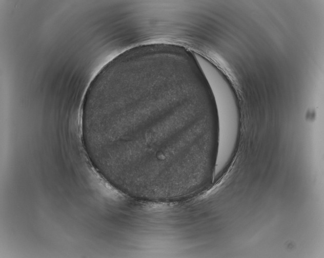 X0000090730892200708171945