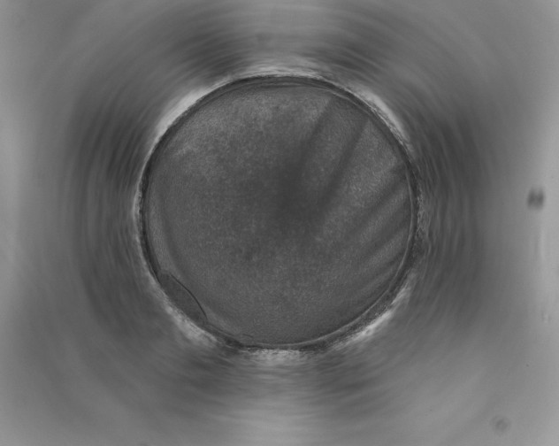 X0000090730893200708171945