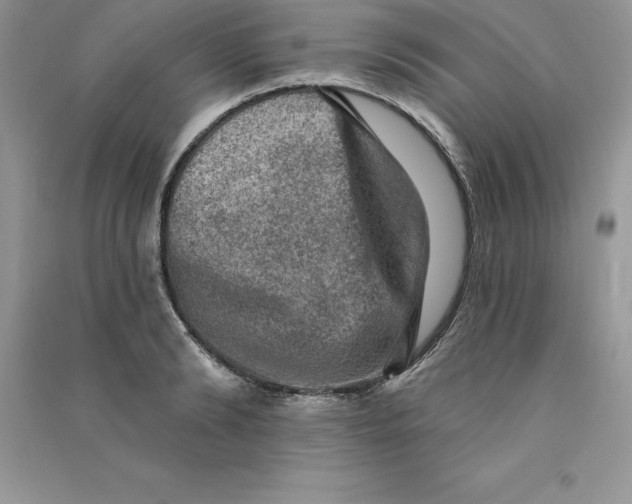 X0000090730894200708171945