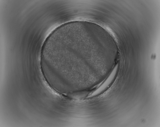 X0000090730896200708171945