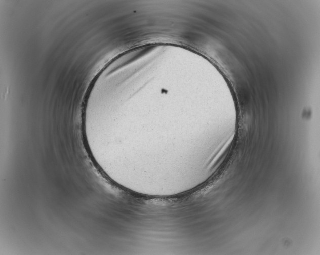 X0000090730898200708171945