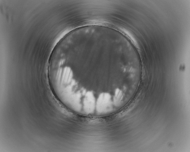 X0000090730899200708171945