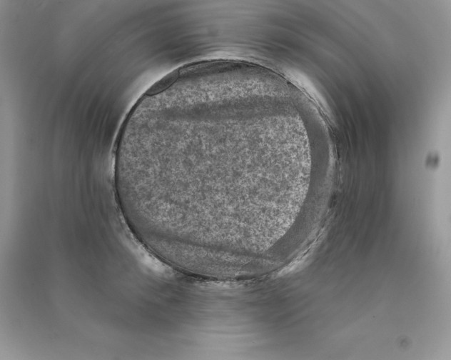 X0000090730900200708171945