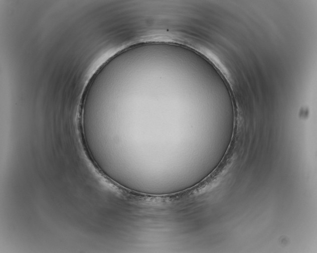 X0000090730901200708171945