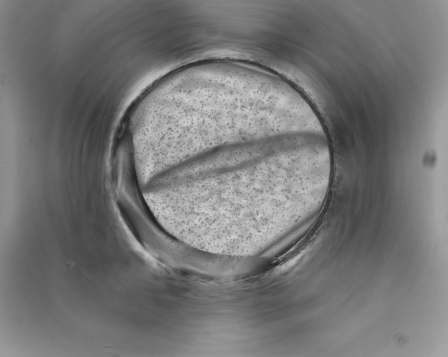 X0000090730902200708171945