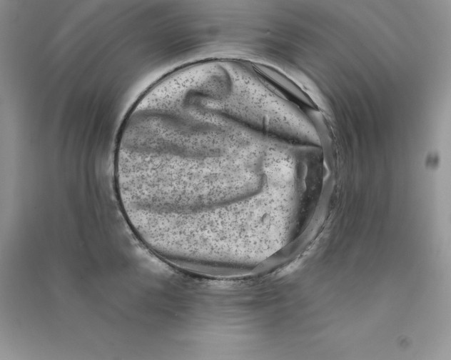 X0000090730904200708171945