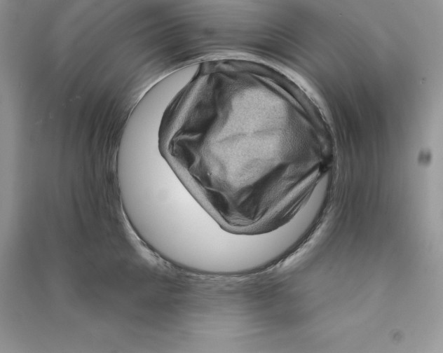 X0000090730905200708171945