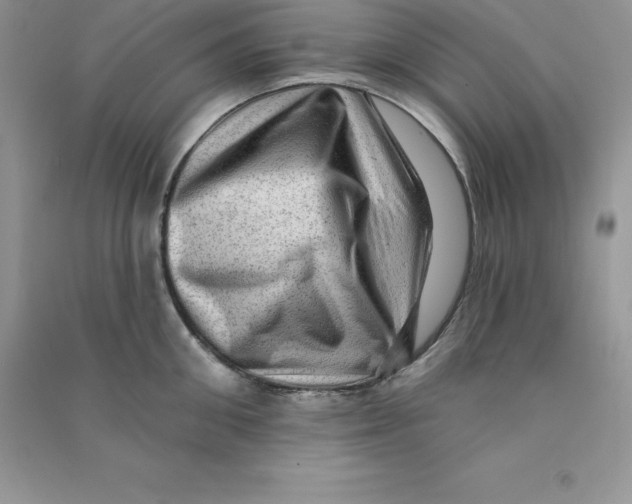 X0000090730906200708171945