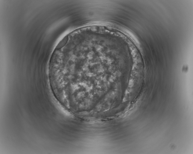 X0000090730907200708171945