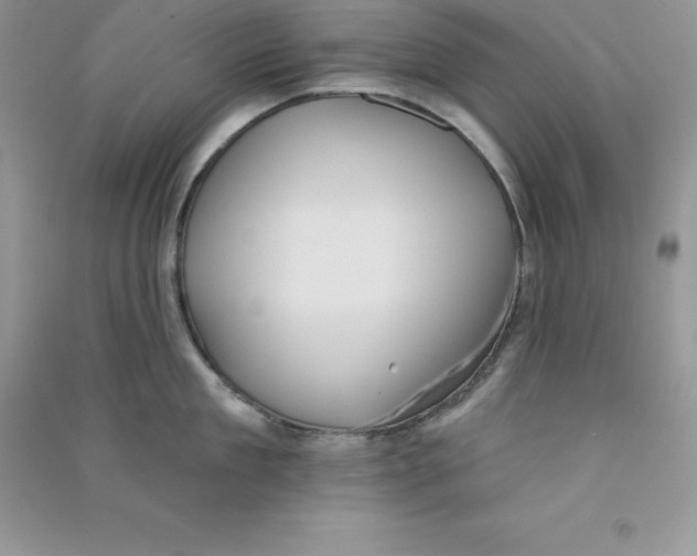 X0000090730909200708171945