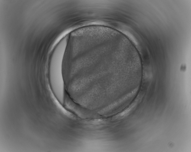 X0000090730910200708171945