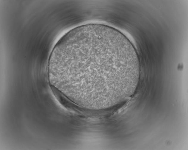 X0000090730911200708171945