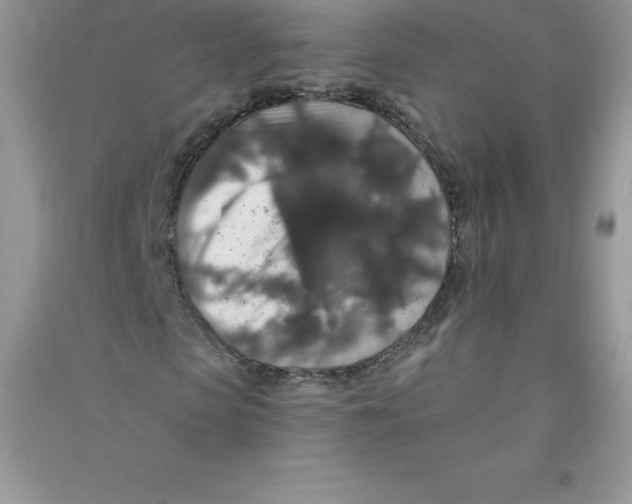 X0000090730913200708171944