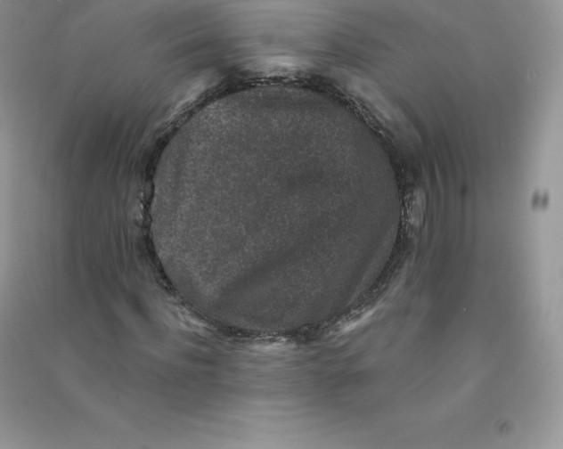 X0000090730916200708171944