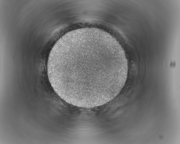 X0000090730918200708171944