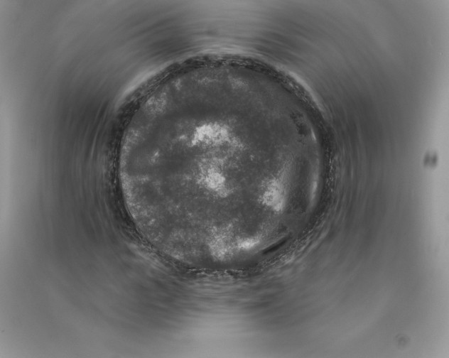 X0000090730919200708171944