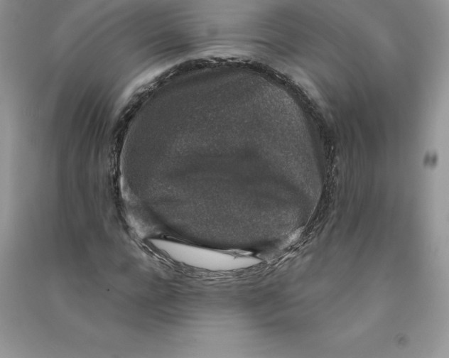 X0000090730920200708171944