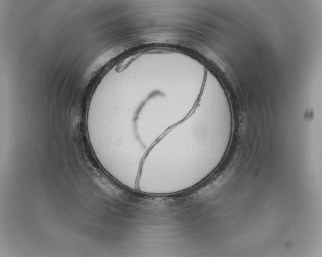 X0000090730922200708171944