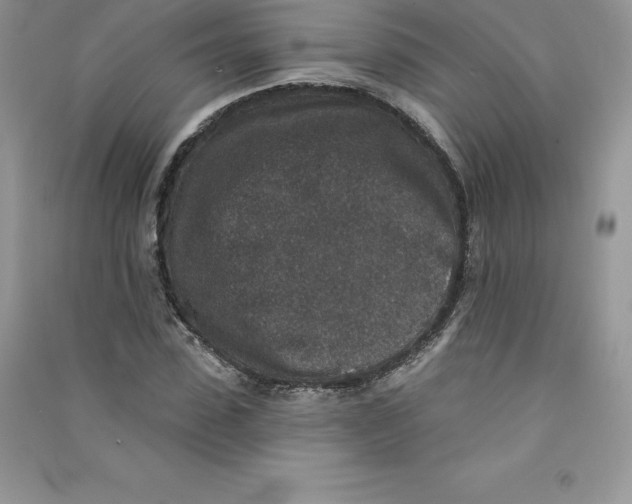 X0000090730923200708171944