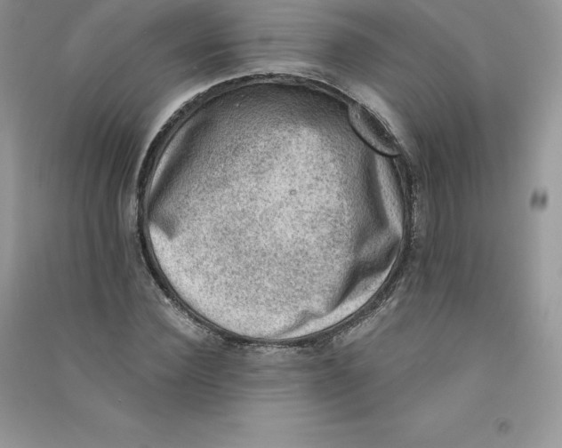 X0000090730924200708171944