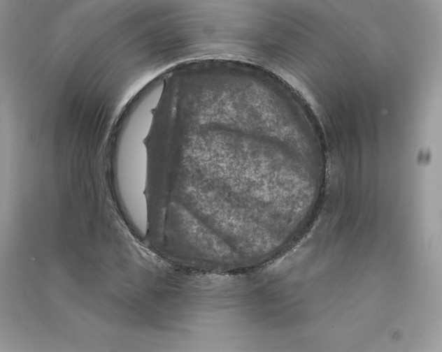 X0000090730925200708171944