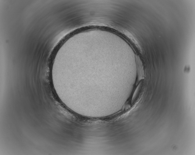 X0000090730926200708171944