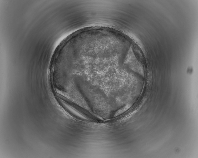 X0000090730928200708171944